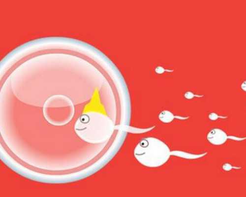 广州世纪助孕公司天河区_世纪助孕,温州供卵试管需要多少 温州中山医院推荐理
