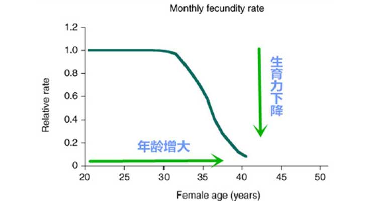 武乡县代孕公司是真的吗,假性绝经还能赴美做试管婴儿吗，赴美前的重点是什