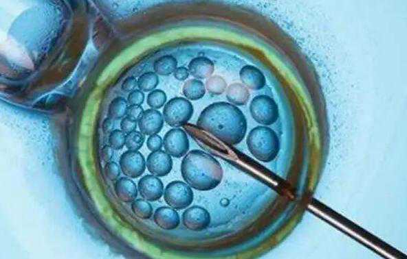 一代试管婴儿和二代区别_哪家助孕中心好_三代试管婴儿鲜胚、冻胚、囊胚的区