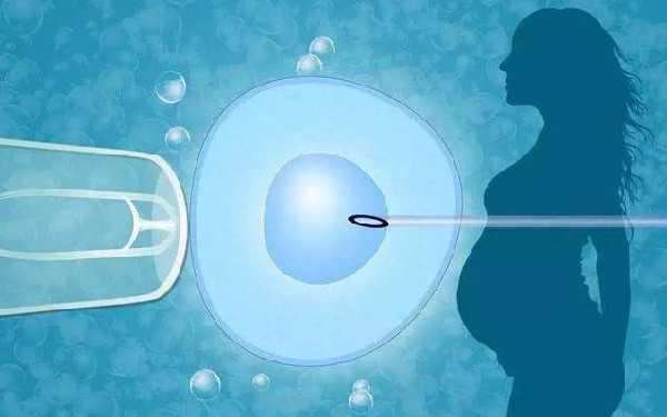 试管代孕成功率_供卵试管婴儿移植过程_试管婴儿取卵前后注意事项有哪些