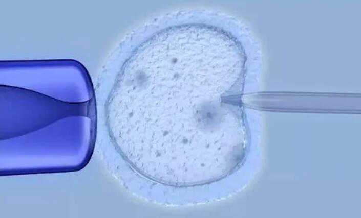 有做过代孕的_代孕百度贴吧_做试管婴儿前提高女性卵子质量的小秘诀