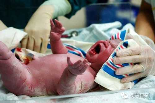 杭州最大的代孕网 杭州供卵试管婴儿大概多少费用 ‘阴道彩超孕囊数据分男女